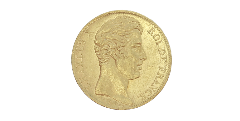 Monnaie, France, 20 Francs, Charles X, Or, 1828, Paris (A), P15285