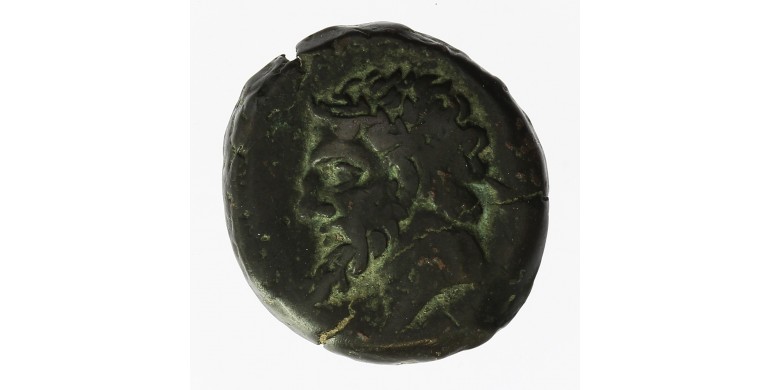 Monnaie, Numidie, Bronze, Massinissa, Bronze, 203/148 AC,, P11885