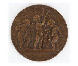 Médaille de la société d'horticulture Tourangelle,S.d,Bronze, M10093