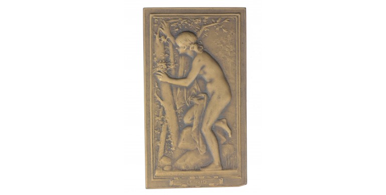 Médaille Art Nouveau "Le Nid" par Daniel Dupuis,S.d,Bronze, M10100