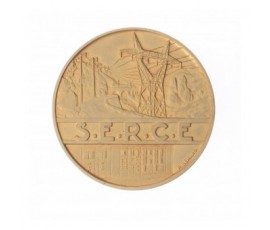 Médaille du travail du syndicat des entrepreneurs de réseaux et de centrales électriques (S.E.R.C.E.),1949,Bronze doré, M10139