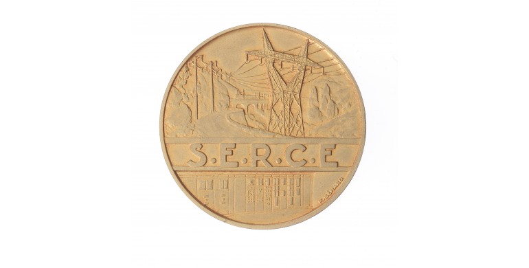 Médaille du travail du syndicat des entrepreneurs de réseaux et de centrales électriques (S.E.R.C.E.),1949,Bronze doré, M10139