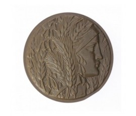 Médaille de récompense offerte par le vice-président de l'assemblée nationale,1971,Bronze, M10149
